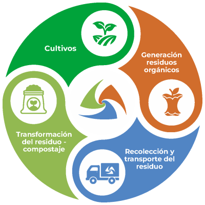 Economia circular-01